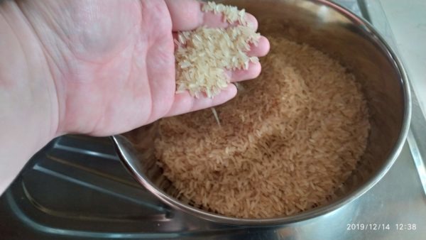 Bowl of rice with hand