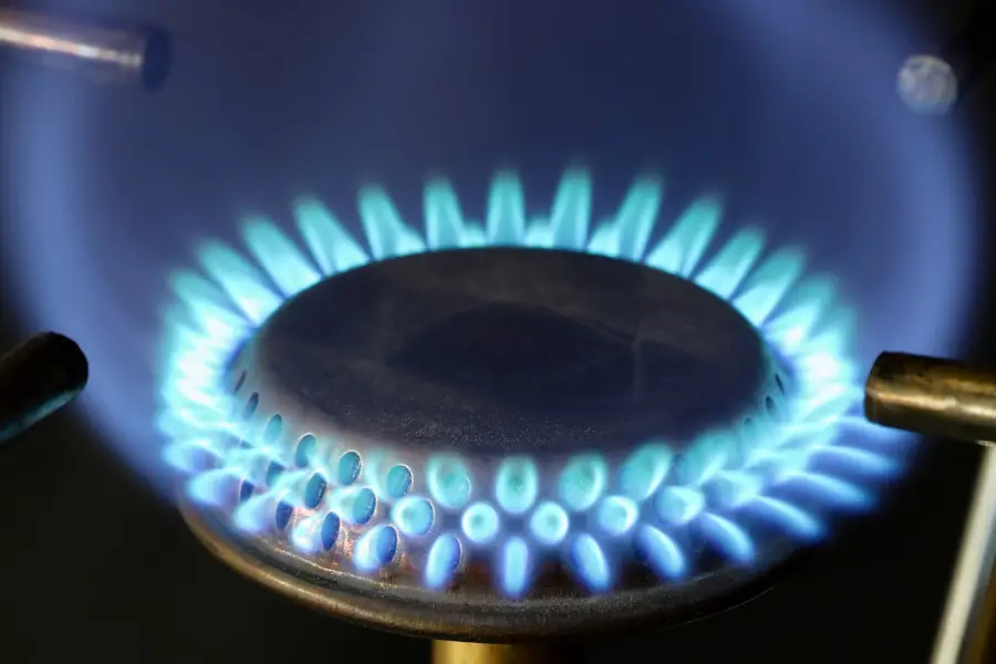 Bake Like a Pro: Harnessing the Power of Your Gas Oven for Cake Perfection