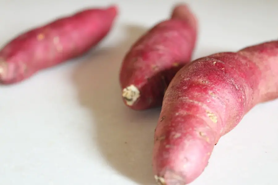 The Ultimate Guide to Making Perfect Sweet Potato Puree for Baking