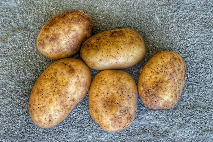 From Russets to Yukon Golds: Finding the Perfect Potato for Baking Bliss