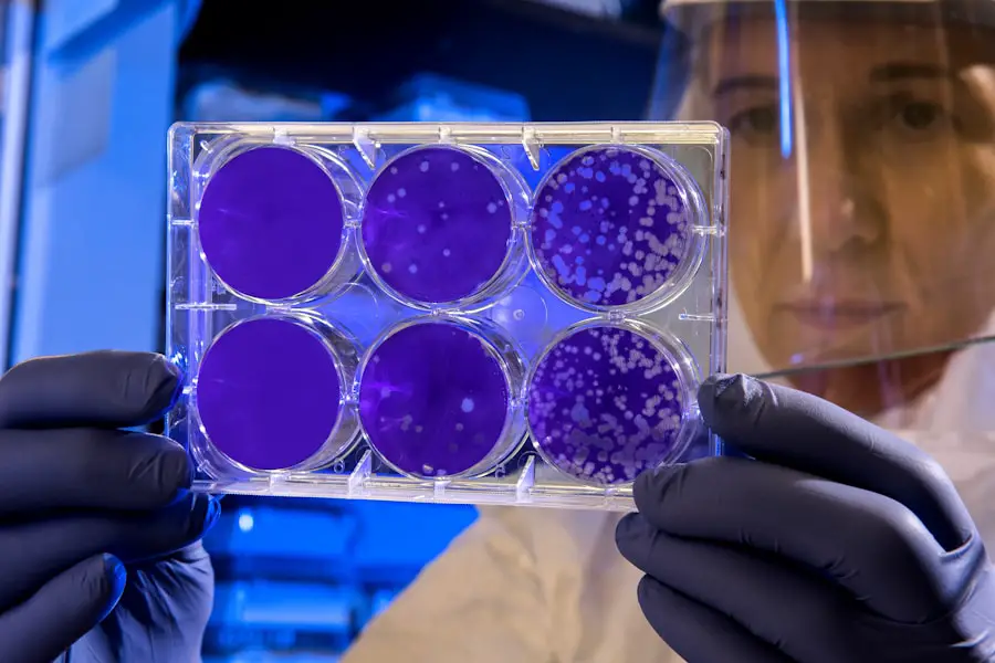 Exploring the Natural Sources of Baking Yeast: How Microbes Play a Vital Role in Bread Making