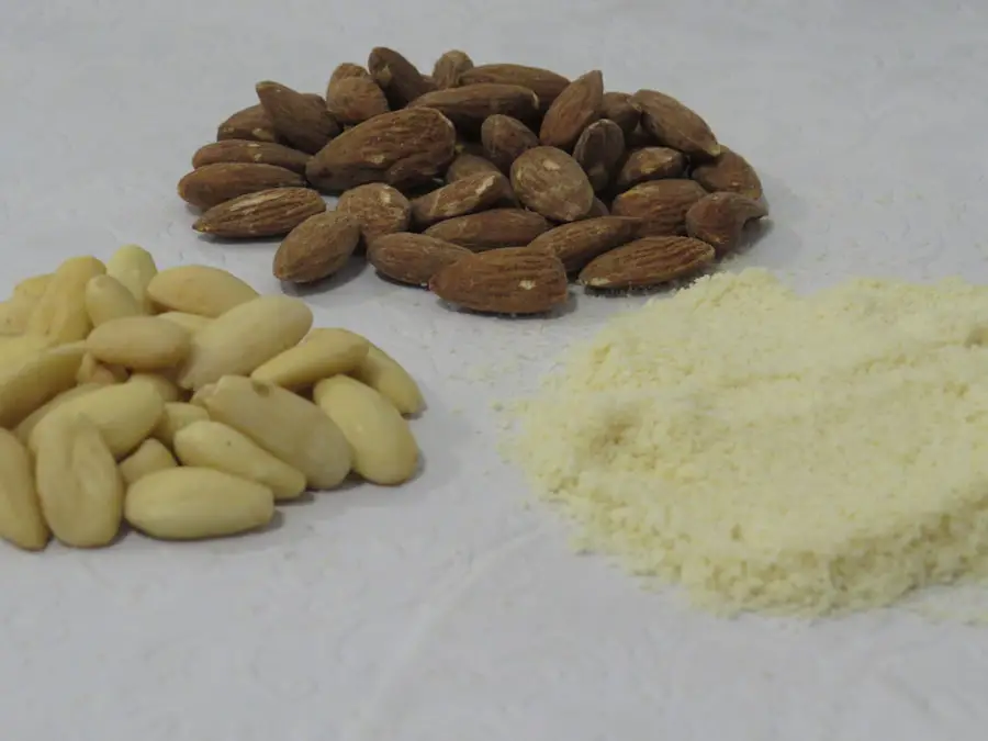 Mastering Gluten-Free Baking: Choosing the Right Flour for Perfectly Fluffy Results