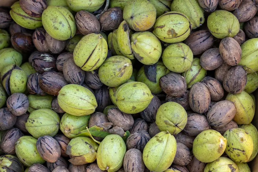 Mastering the Art of Toasting Pecans: A Step-by-Step Tutorial
