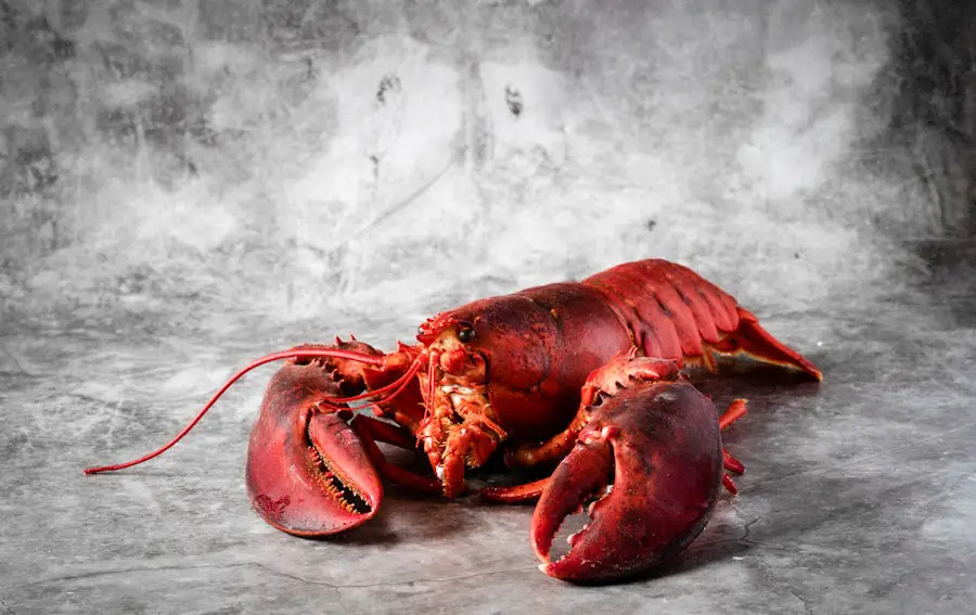 Elevate Your Cooking Game: Tips for Preparing Perfectly Baked Lobster Tails