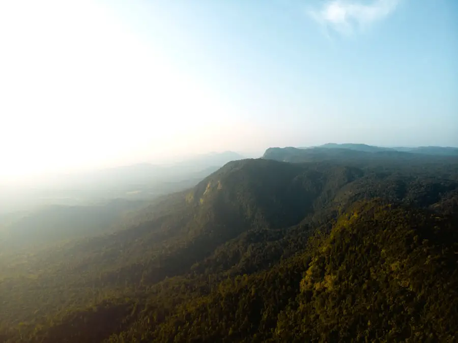 The Science of Baking at High Altitude: Tips for Success in Elevated Environments