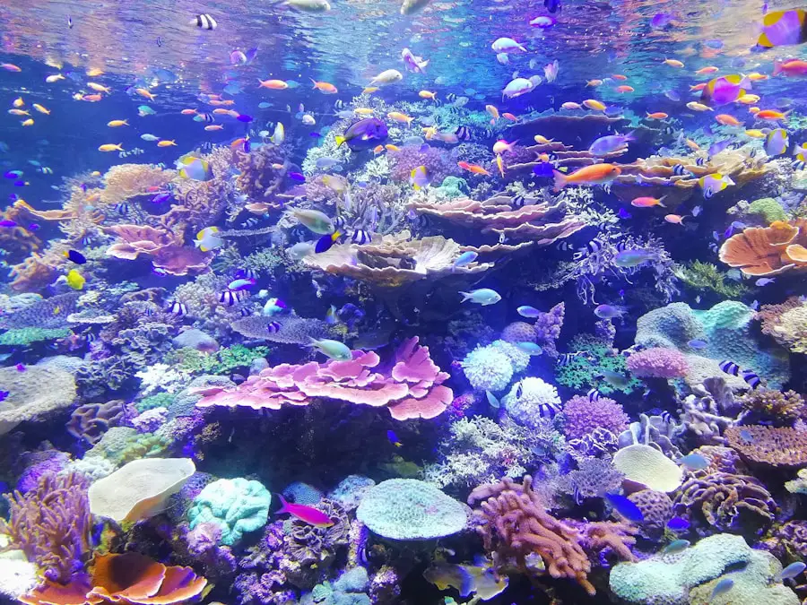 Uncovering the Depths of Frying Pan Shoals: Exploring the Hidden Wonders