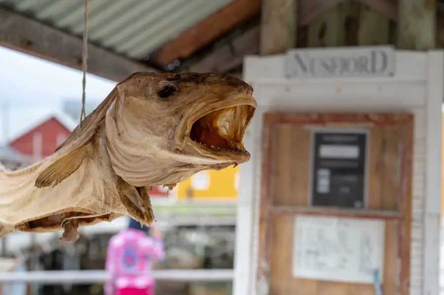 Fried to Perfection: Uncovering the Ideal Fish for Deep Frying