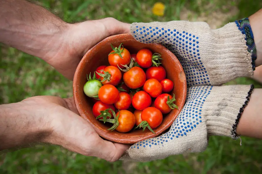 Exploring the Fresh Flavors of Frying Pan Park Farmers Market
