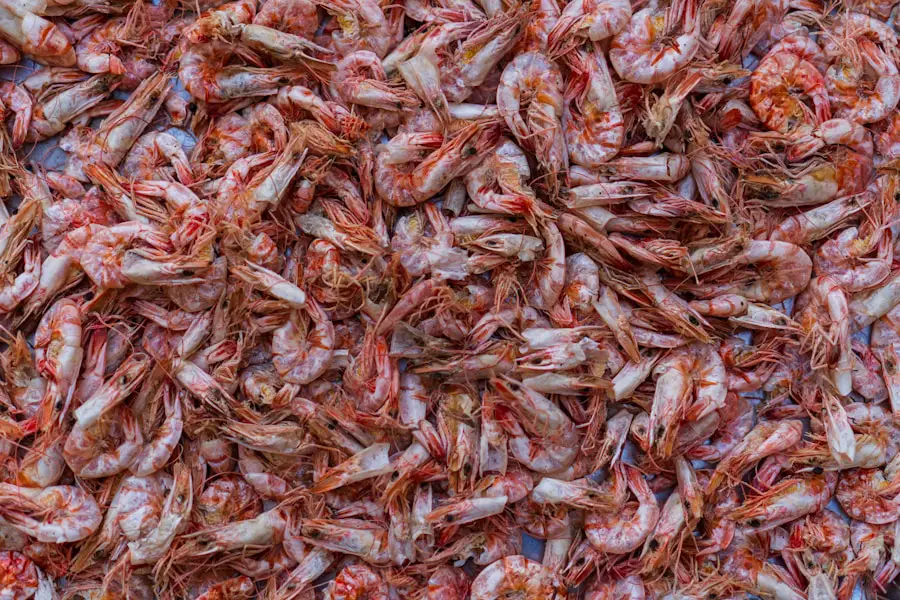 From the Sea to Your Plate: Deep-Frying Breaded Shrimp Like a Pro