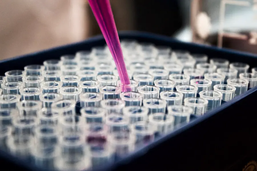 CSI: A Kiss Before Frying – Exploring the Intriguing World of Crime Scene Investigation