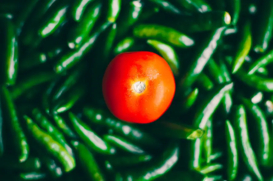 Fried Green Tomatoes 2.0: Elevating Your Cooking Game with Canned Green Tomatoes
