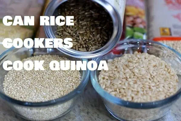 Can Rice Cookers Cook Quinoa?
